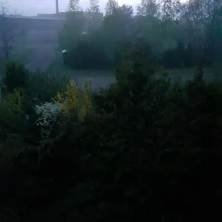 Avoti Летний дом *